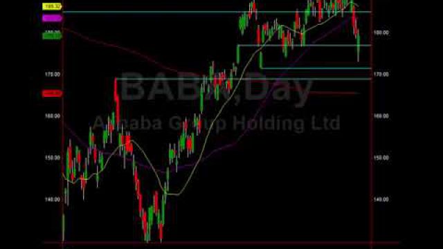 Trade Setups, Trade Alerts, Big Winners Everywhere!