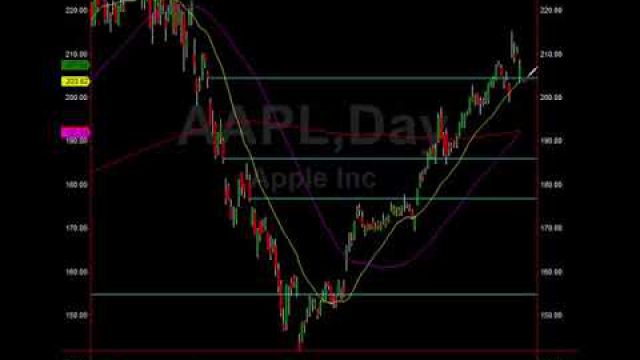 Market Action Alerts: Trades, Levels, Targets