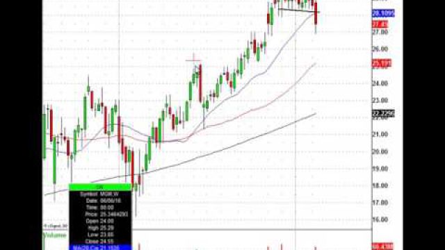 This Leading Casino Stock Plunges, Now Find The Institutional Trade Level